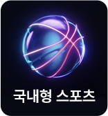 국내형 스포츠